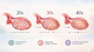 Fertility Over Time: How Age Affects Ovulation and Your Chances of Pregnancy