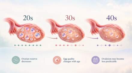 Fertility Over Time: How Age Affects Ovulation and Your Chances of Pregnancy